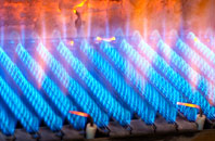 Llanwrin gas fired boilers